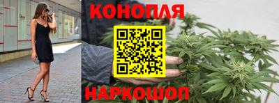 гашик Нарткала