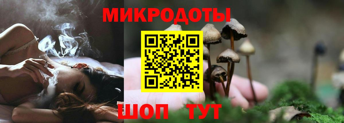 Галлюциногенные грибы Psilocybe  Вход с VPN  Галлюциногенные грибы GOLDEN TEACHER  Ступино 